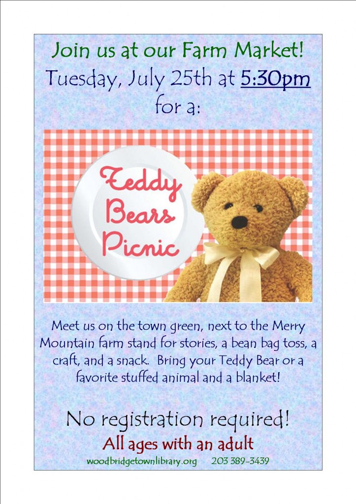 teddy bear picnic 2017